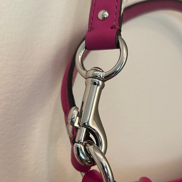 Coach Daisy Outline Signature Crossbody Bag, classic logo w/ pink leather trim - Picture 12 of 15